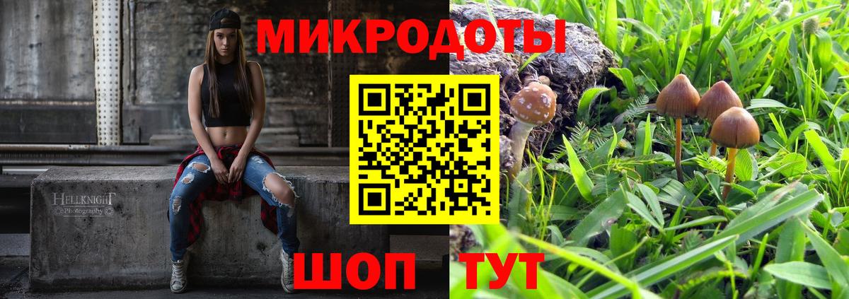 Псилоцибиновые грибы Psilocybe  Вход с VPN  Клинцы  Галлюциногенные грибы мухоморы 