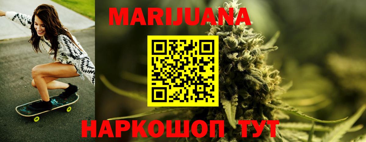 Конопля сатива Клинцы